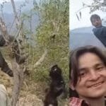 Shocking Animal Cruelty: Dog Hanged and Killed in Rolpa