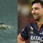 RCB’s Tim David Enjoys Rain at Chinnaswamy Stadiuma