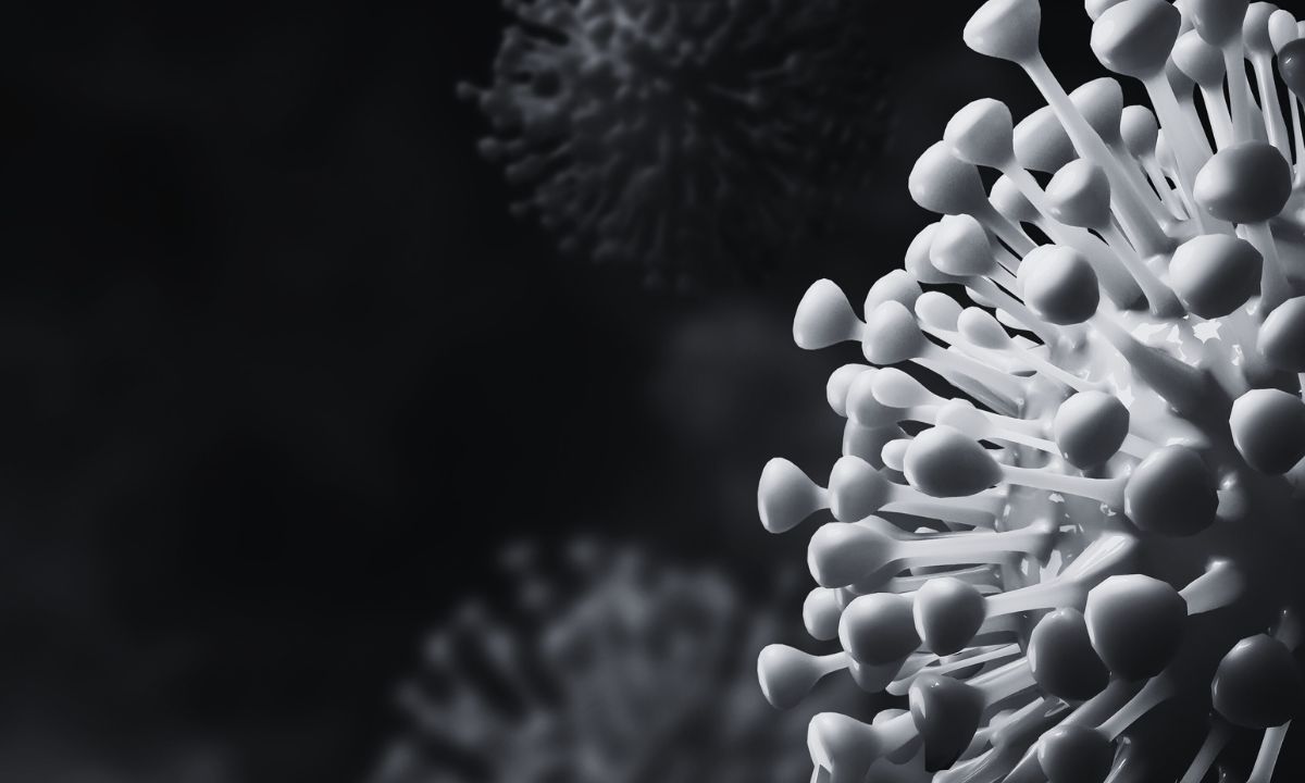 COVID-19 cases rising in India, Nepal begins preparations