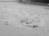 Flood Risk in Sunkoshi: Authorities Urge Residents in Khotang to Stay Alert