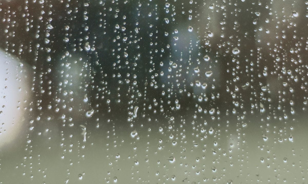 Monsoon Stuck in Koshi Province