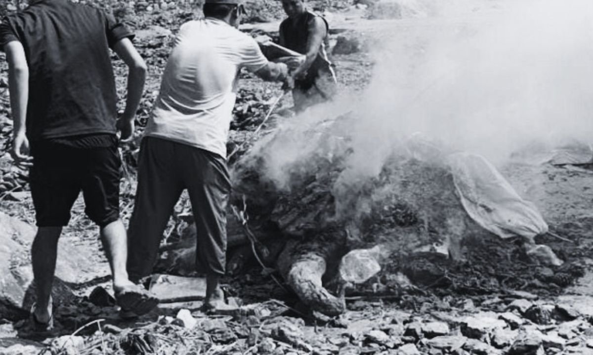 marijuana and other drugs in Dhankuta