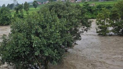 Bhotekoshi river flow rises