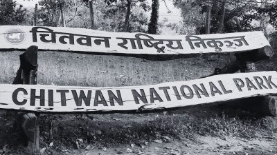 Chitwan National Park Wildlife