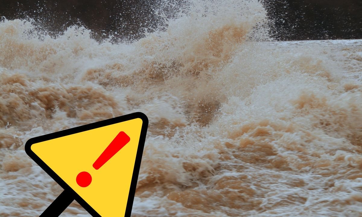 IPPAN urges all hydropower projects to stay alert for next 3 days due to heavy rain forecast