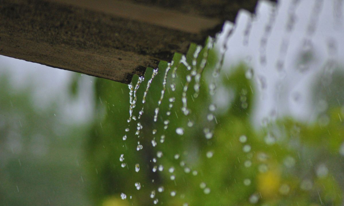 Kanchanpur records highest rainfall; more rain expected