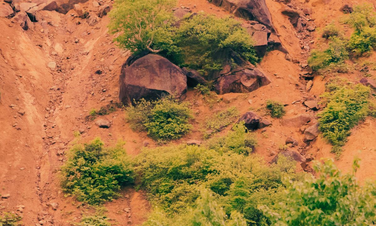 Landslide buries house in Parbat