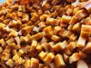 Nepali Churpi for dogs sees strong export growth, mainly to the US and Canada