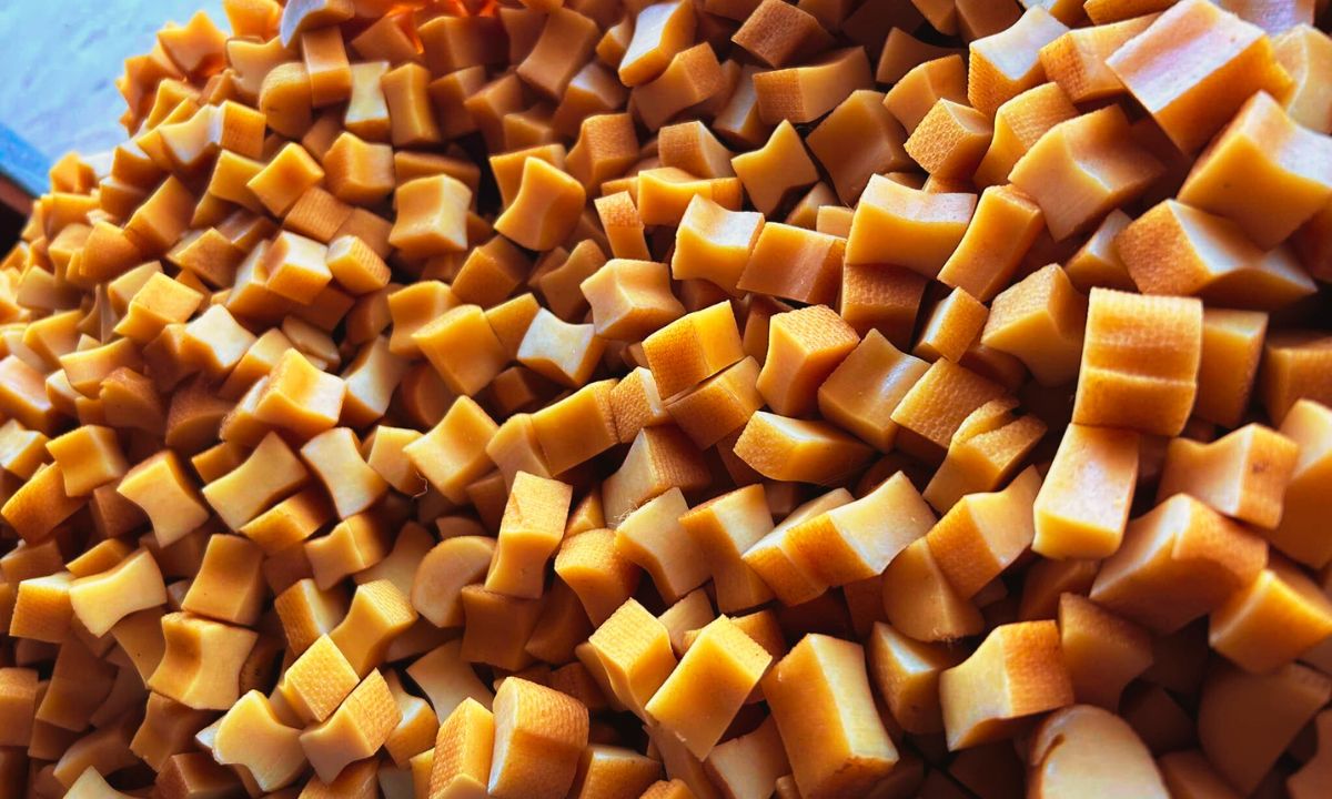 Nepali Churpi for dogs sees strong export growth, mainly to the US and Canada