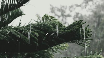 Weather in Nepal July 8