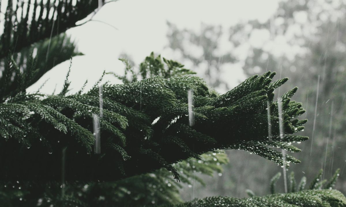 Weather in Nepal July 8