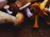Five fall sick after eating wild mushrooms in Jumla