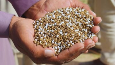 Bardiya farmers in crisis