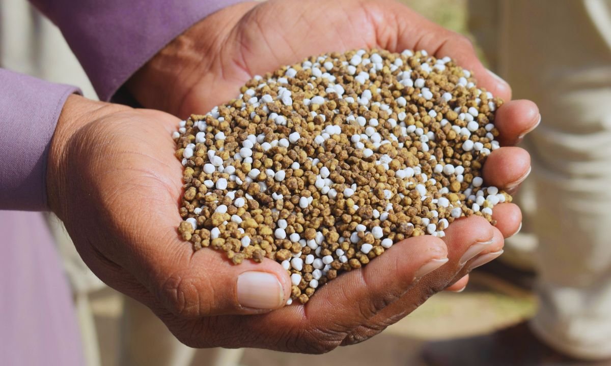 Bardiya farmers in crisis