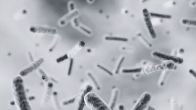 Birgunj cholera Outbreak