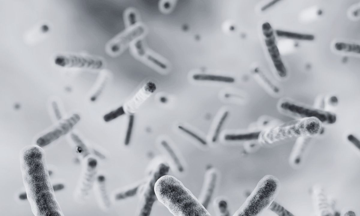 Health team deployed to control Birgunj cholera Outbreak