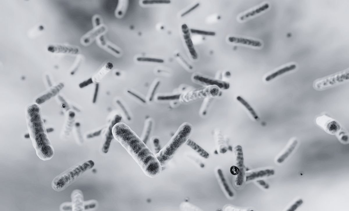 Cholera spreads to Bara