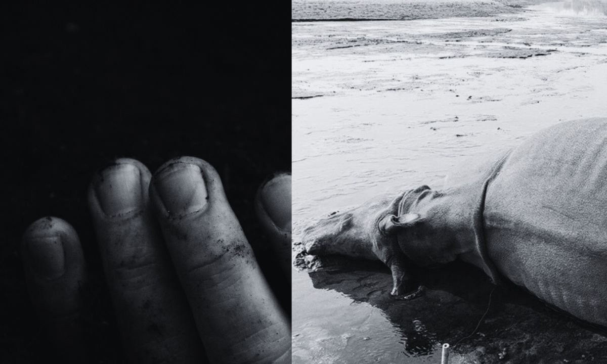 Electric Traps in Chitwan