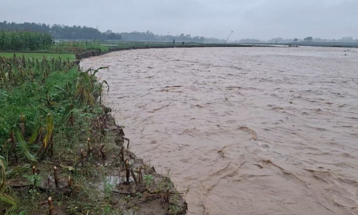 High flood risk in six rivers across Nepal till Wednesday