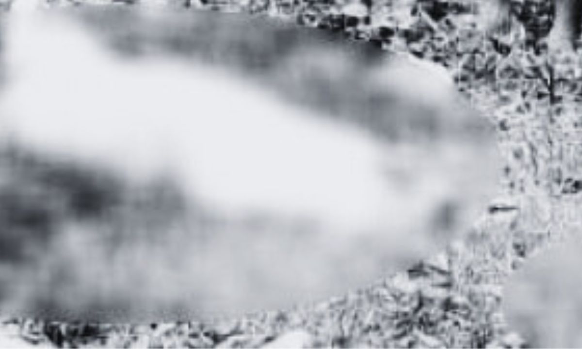 Leopard attack kills 15 goats at Himalayan farm in Sitganga 