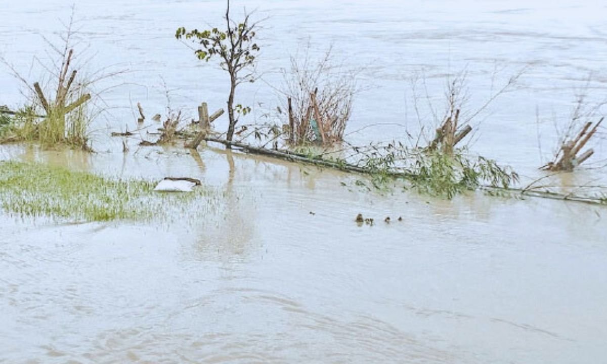 Monsoon floods wreak havoc in Sudurpaschim and eastern Nepal
