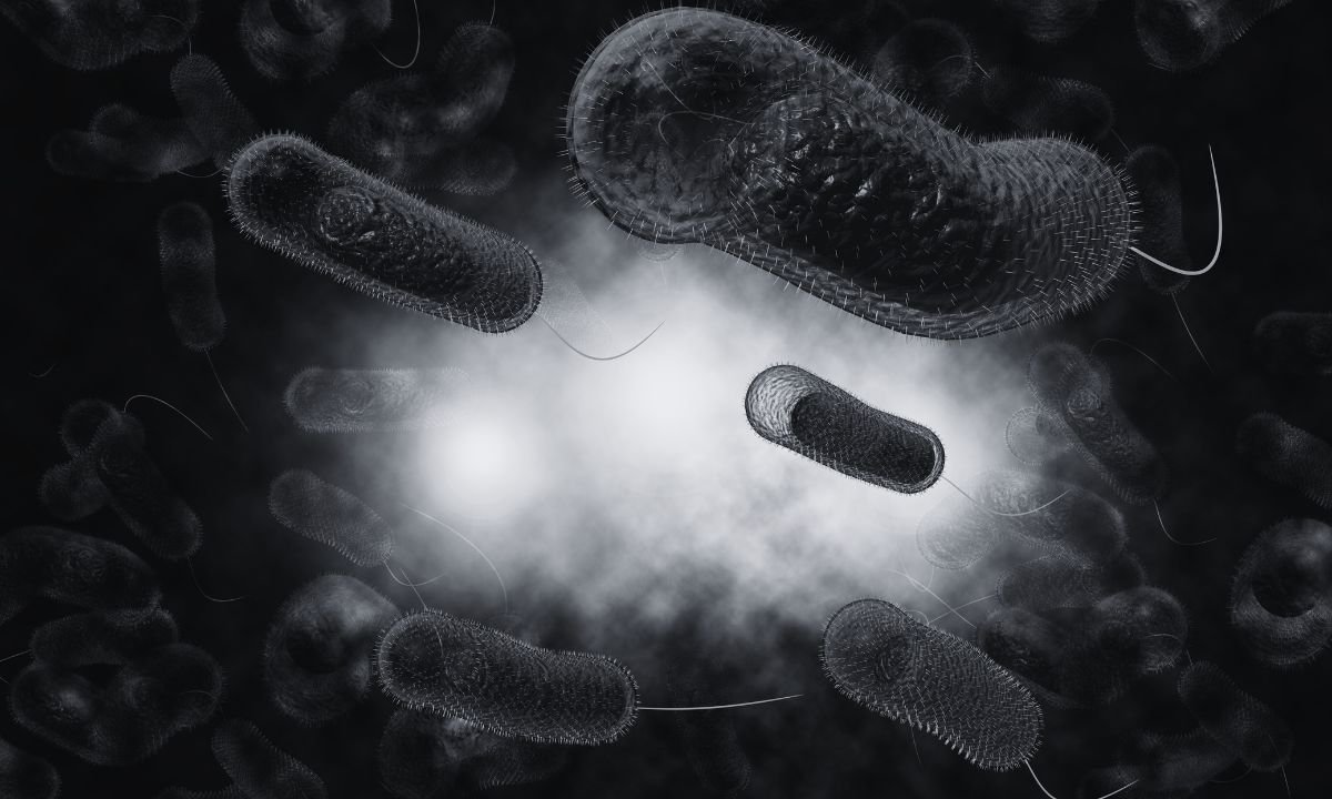 Parsa hospitals set up dedicated beds as diarrhea cases rise