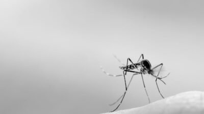 cases rising in Sankhuwasabha