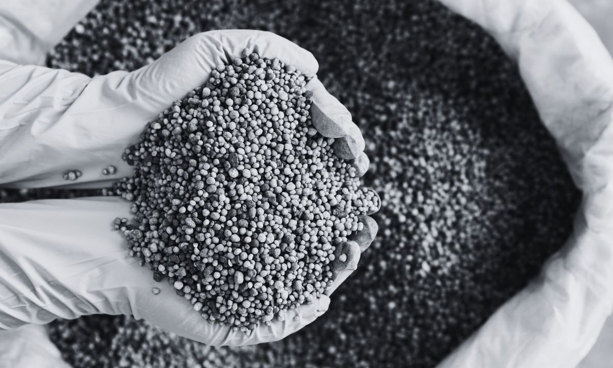 STC begins distribution of imported chemical fertilizers in Nepal