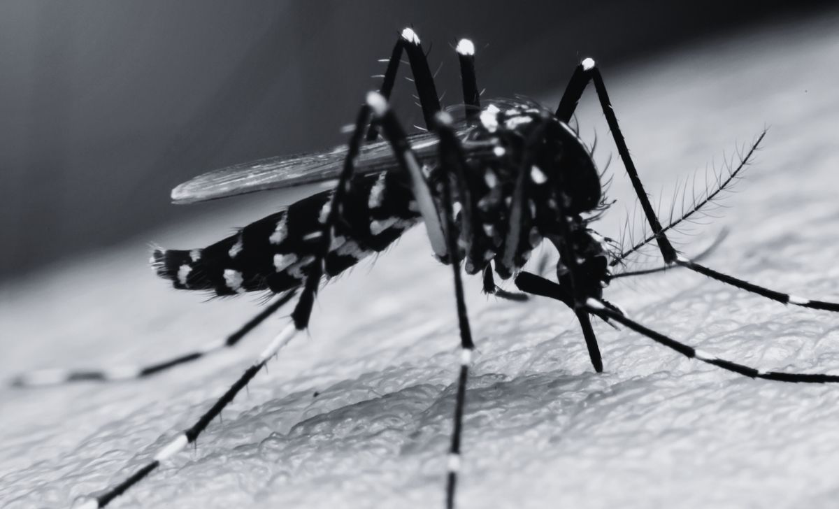 Japanese encephalitis spreading in Nepal, 23 dead